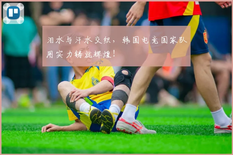 泪水与汗水交织,韩国电竞国家队用实力铸就辉煌!